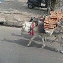 Indien_2016_50