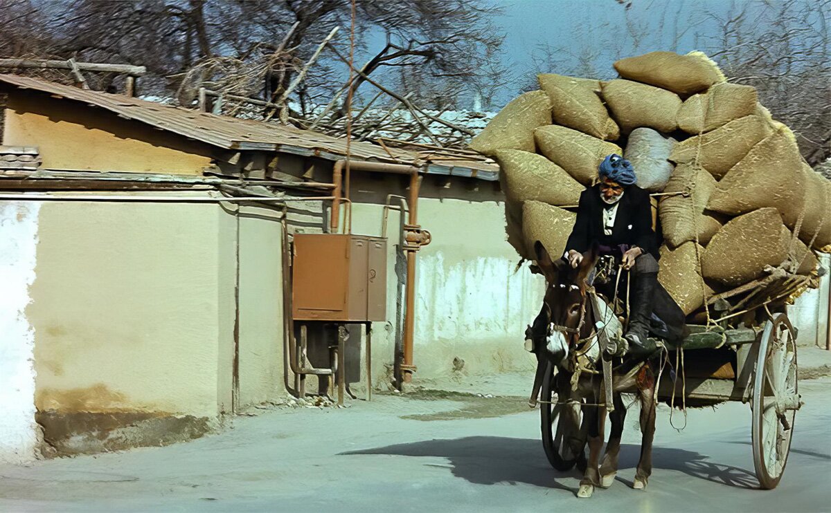 Usbekistan_1980_84