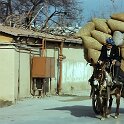 Usbekistan_1980_84